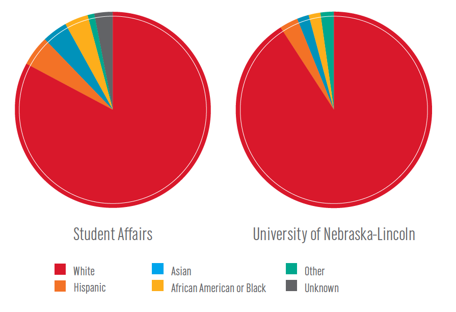 Charts that shows Student Affairs diversity as compared to the entire university